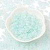 Frosted Glass Beads X1-FGLA-D300-01B-2