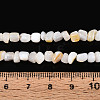 Natural Freshwater Shell Beads Strands SHEL-N038-06A-4