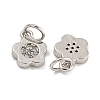 Rack Plating Brass Micro Pave Clear Cubic Zirconia Charms KK-U030-09P-2