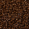 MIYUKI Delica Beads SEED-X0054-DB2142-2