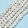 Natural Cultured Freshwater Pearl Beads Strands PEAR-F018-05-2