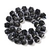 Natural Larvikite Beads Strands G-B125-O05-01-3