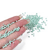 12/0 Glass Seed Beads SEED-S060-A-F408-01-5