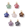 Natural Rhodonite & Lepidolite & Larvikite & Tiger Eye & Lapis Lazuli & Rose Quartz & Green Aventurine Star Charms PALLOY-JF04845-1