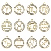 12Pcs 12 Styles Zinc Alloy Crystal Rhinestone Pendants FIND-YW0010-43-1