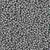 TOHO 11/0 Round Beads SEED-XTR11-PF0565-2