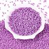 8/0 Ceylon Round Glass Seed Beads X-SEED-A011-3mm-150-2