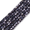 Natural Freshwater Shell Beads Strands SHEL-N003-33-A01-1