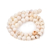 Natural Freshwater Shell Beads Strands SHEL-T011-02-8mm-2