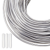 SUPERDANT 30M Aluminum Wire AW-BC0003-37B-1