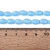 Opaque Solid Color Glass Beads Strands GLAA-N071-01A-C07-4