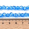 Handmade Lampwork Beads Strands LAMP-H071-01A-10-4