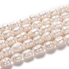 Natural Cultured Freshwater Pearl Beads Strands PEAR-L033-84-01-1