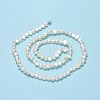 Natural Cultured Freshwater Pearl Beads Strands PEAR-A005-05A-01-3