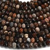 Natural Petrified Wood Beads Strands G-Z111-A50-4