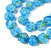 Handmade Lampwork Beads Strands LAMP-T021-26H-3