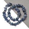Natural Kyanite/Cyanite/Disthene Chip Beads Strands X-G-E271-78-5
