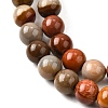 Natural Picture Jasper Beads Strands G-S390-07-6mm-4