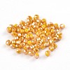 Faceted Round Full Rainbow Plated Glass Beads EGLA-J118-FR02-2