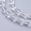 Glass Beads Strands GLAA-R024-11x8mm-12-3