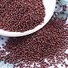 MIYUKI Round Rocailles Beads X-SEED-G007-RR1089-1