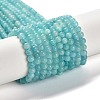 Natural Amazonite Beads Strands G-Z074-B01-2