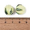 Handmade Lampwork Beads LAMP-Q039-18F-4