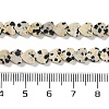 Natural Dalmatian Jasper Beads Strands G-M403-A31-02-5