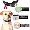 42Pcs 3 Colors Transparent Blank Acrylic Pet Dog ID Tag PALLOY-AB00048-5