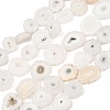 Natural Sunflower Druzy Agate Slice Beads Strands G-K381-A01-1