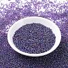 MIYUKI Round Rocailles Beads X-SEED-G007-RR0356-2