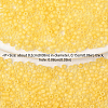10G Cylinder Seed Beads SEED-YW0003-06D-3