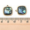 Natural Paua Shell Pendants STAS-G397-20G-02-3