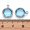 K9 Glass Charms GLAA-T023-37B-04-3