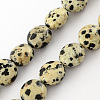 Natural Dalmation Jasper Bead Strands G-R189-14-1