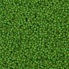 TOHO Round Seed Beads SEED-JPTR11-0306FM-2