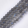 Natural Labradorite Beads Strands G-S333-6mm-035-01-1