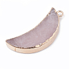 Electroplate Natural Rose Quartz Pendants X-G-S329-014C-1