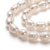 Natural Cultured Freshwater Pearl Beads Strands PEAR-J005-58-2