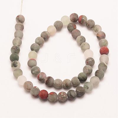 Natural African Bloodstone Beads Strands G-P295-05-10mm-1