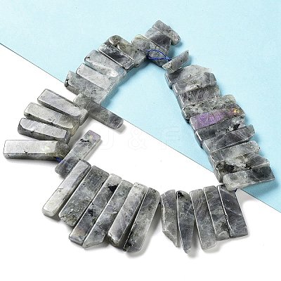 Natural Labradorite Beads Strands G-L551B-06-1