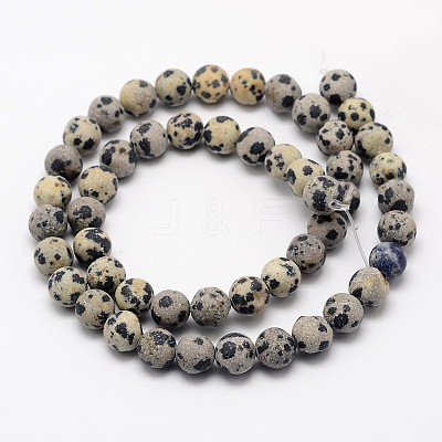 Natural Dalmatian Jasper Beads Strands X-G-D685-8mm-1