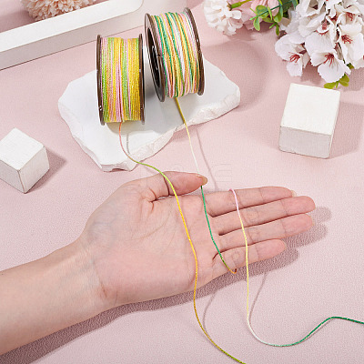 2 Rolls 2 Colors Segment Dyed Round Polyester Twisted Cords OCOR-TA0003-65A-1