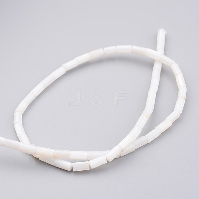 Natural Shell Bead Strands BSHE-P016-05-1