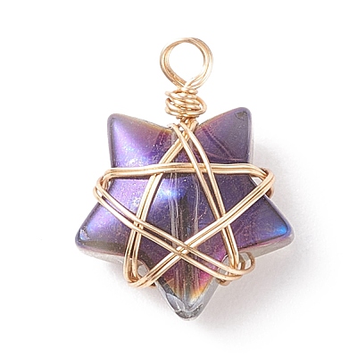 Wire Wrapped Electroplate Glass Charms PALLOY-JF01649-01-1