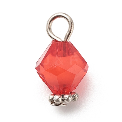 Transparent Acrylic Charms PALLOY-JF01744-1