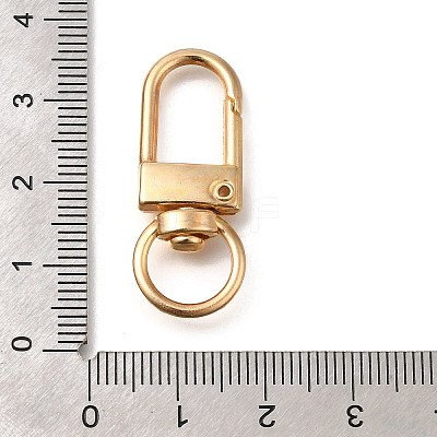 Alloy Swivel Clasps FIND-H006-03KCG-1