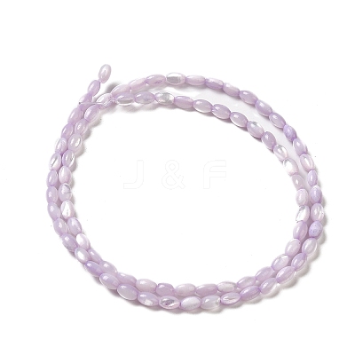 Natural Trochus Shell Beads Strands SHEL-K006-19B-1
