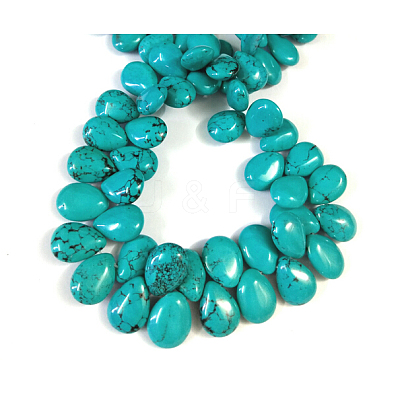 Natural Magnesite Beads Strands TURQ-K003-28B-1
