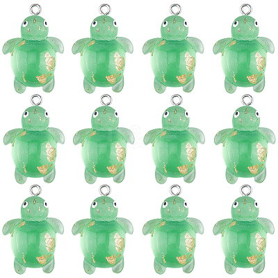 30Pcs Transparent Resin Pendants RESI-SC0002-72-1